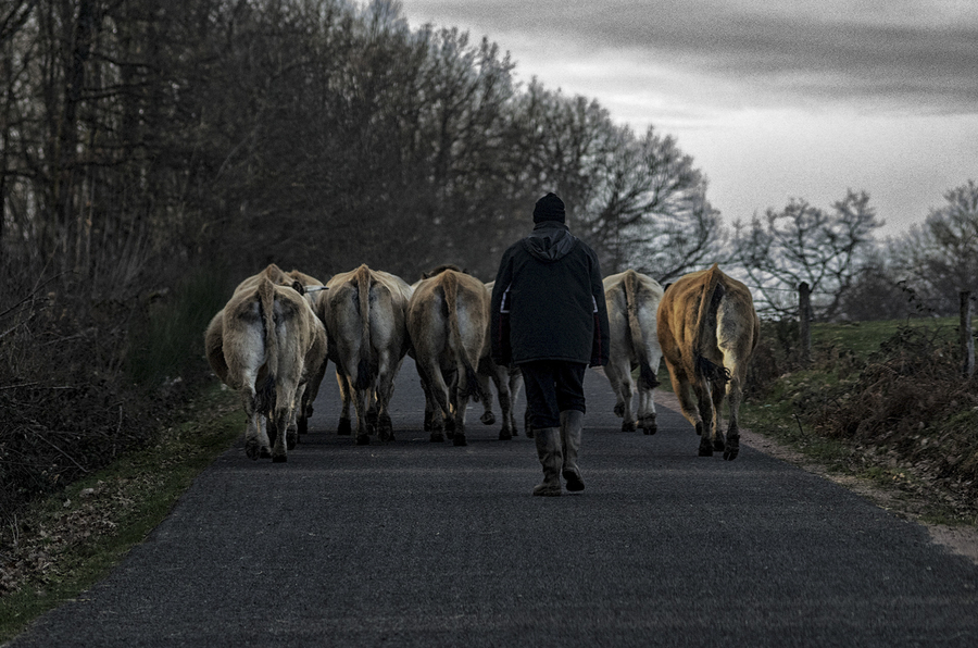 6-couvre-feu_51991894823_o