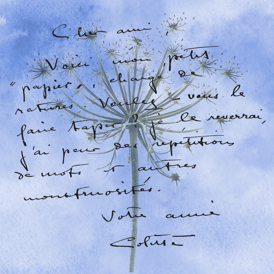 colette_51991893891_o