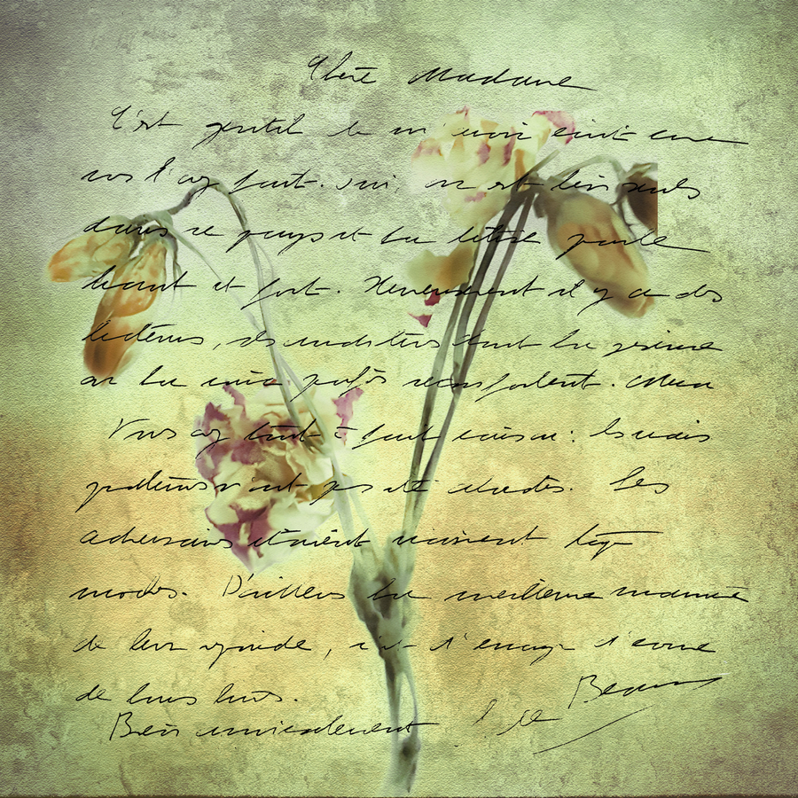 de-beauvoir_51991953233_o