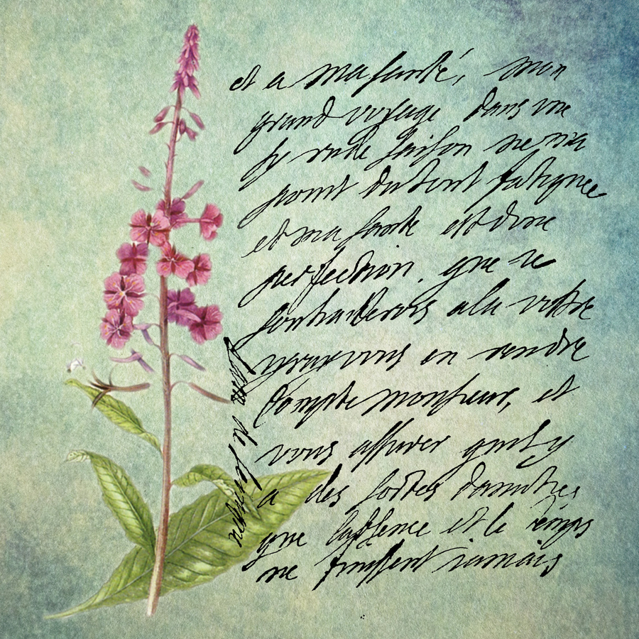 de-svign_51992446820_o