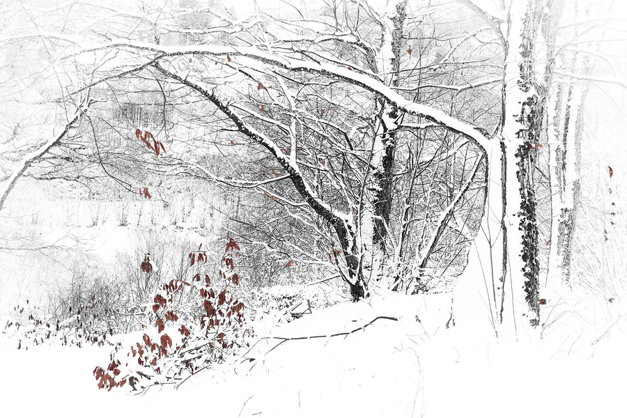 m-beaufils--2-le-silence-blanc_51990910442_o