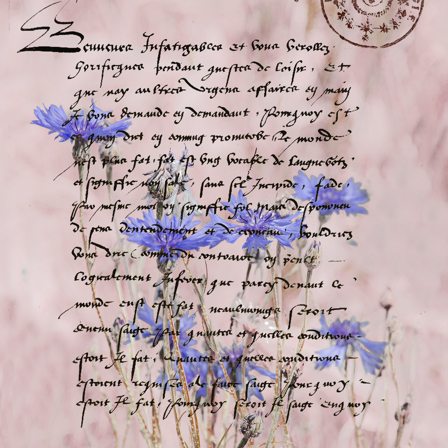 rabelais_51991893546_o