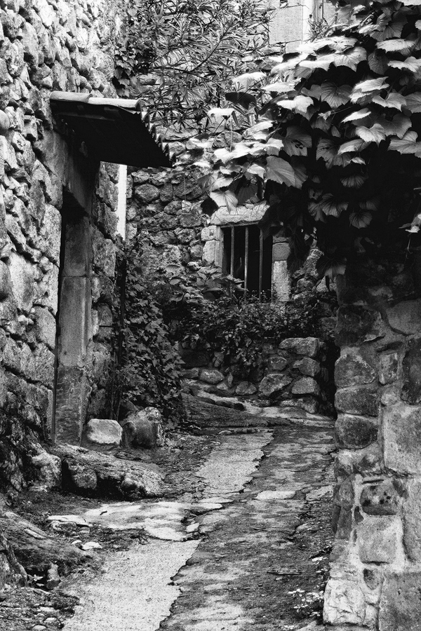 ruelle348_51990913982_o