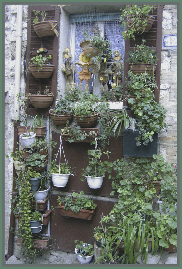 25-lucienne-luciano_53061462295_o