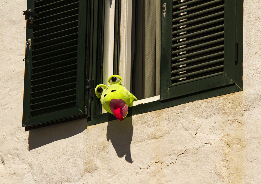 29-curieux-michel_53061461230_o