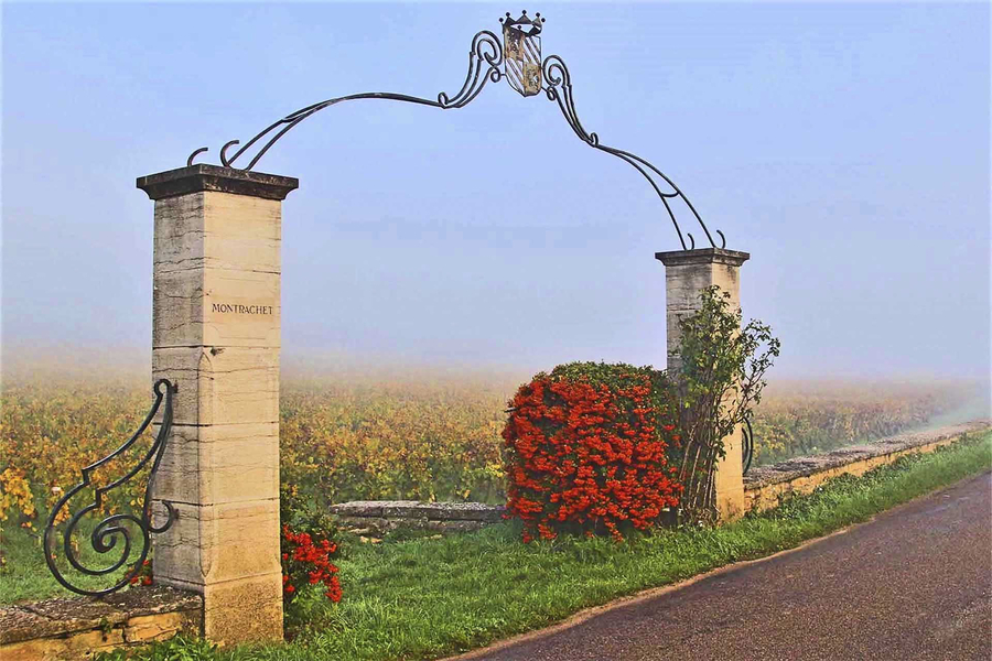 9-image-prfre-daniel_53061546813_o