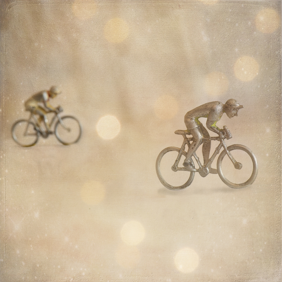 _bonheurs_05_dsc5918-copie_53061046491_o