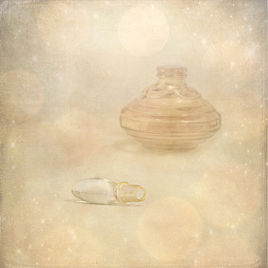 _bonheurs_08_dsc5957-copie-autre-copie_53060462767_o