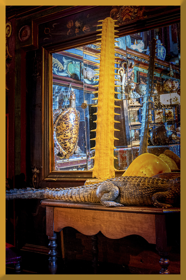 a-grebot-cormatin-004-1920px_53061220509_o