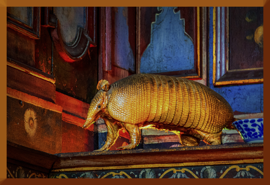 cormatin-003-1920px_53061523408_o