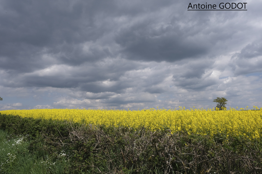 dscf1762_53059300837_o