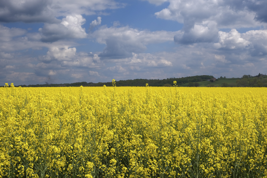 dscf1764-copie_53060070059_o