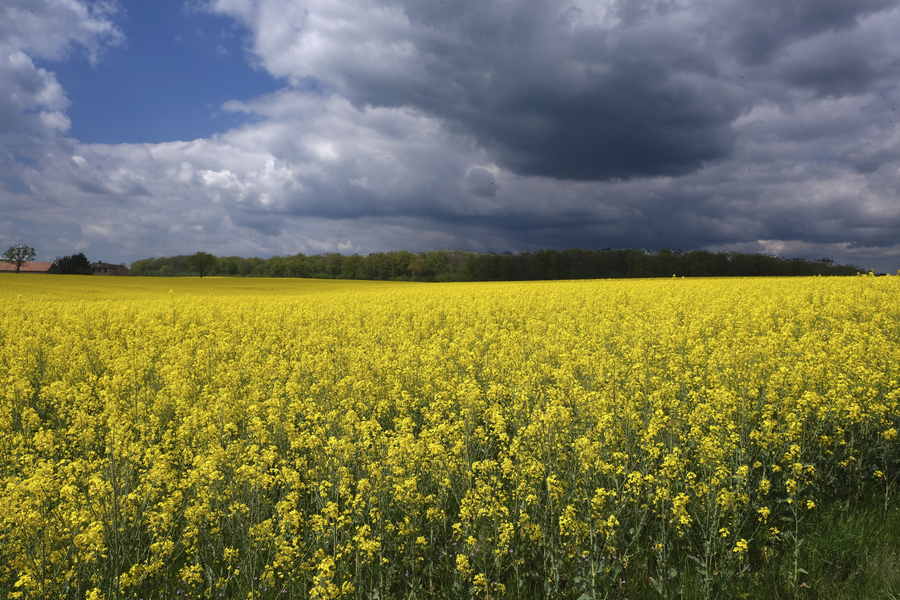 dscf1766---copie_53060272920_o