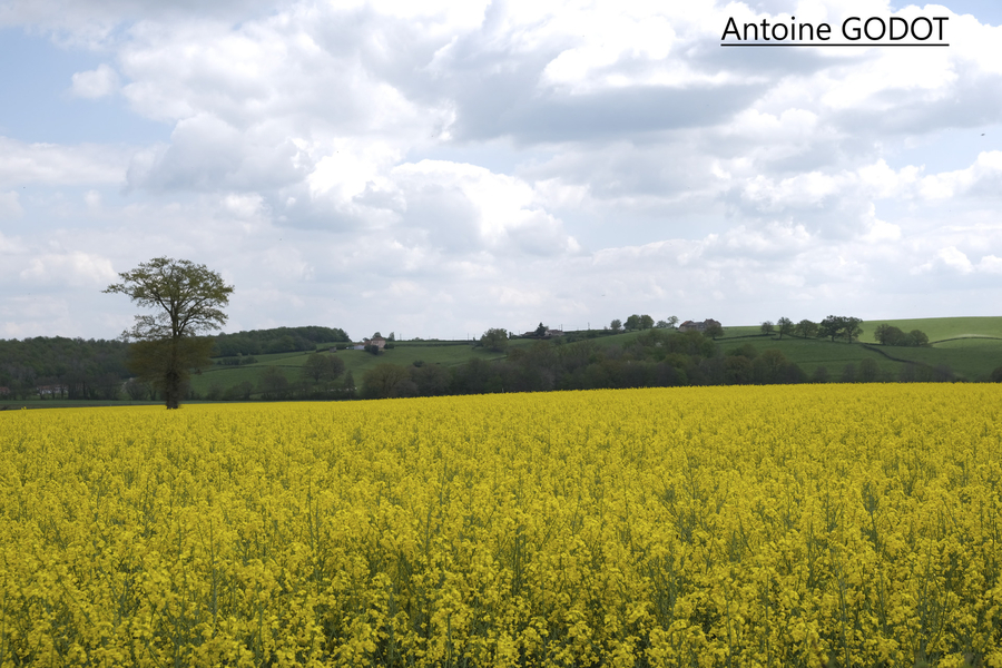 dscf1771_53059301532_o