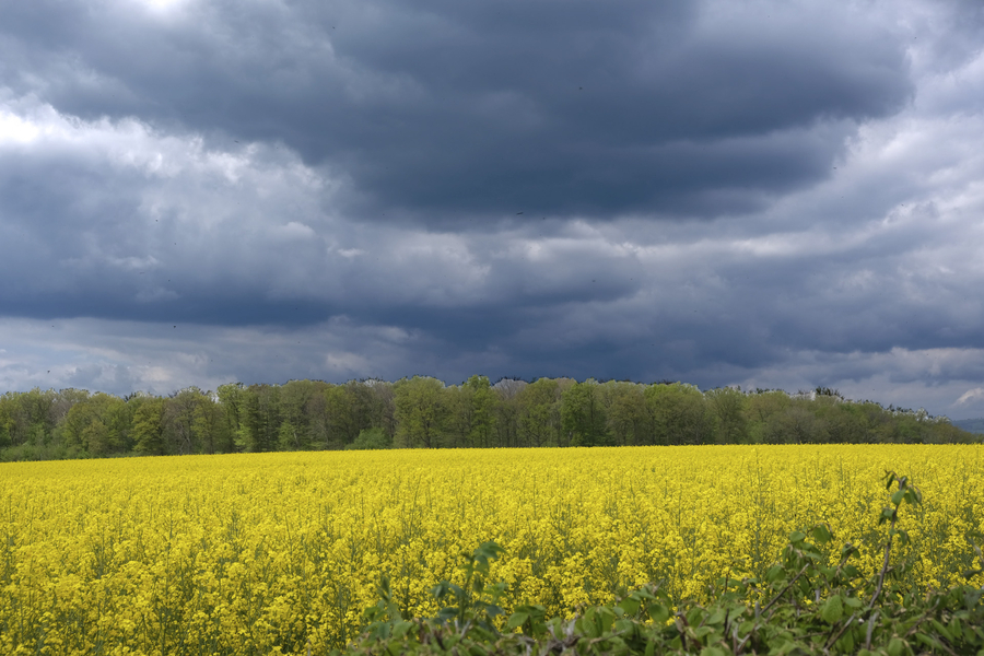 dscf1780_53059301317_o