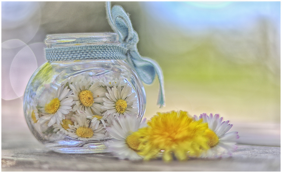 img_1687_53060365523_o