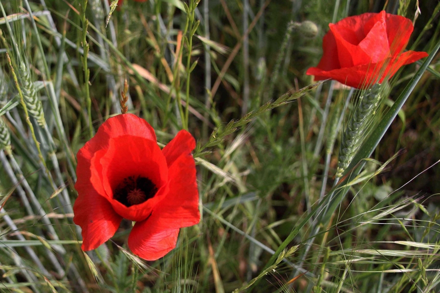 4_1w5a7370_53060029194_o