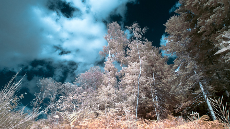 infrarouge-3_53060345338_o