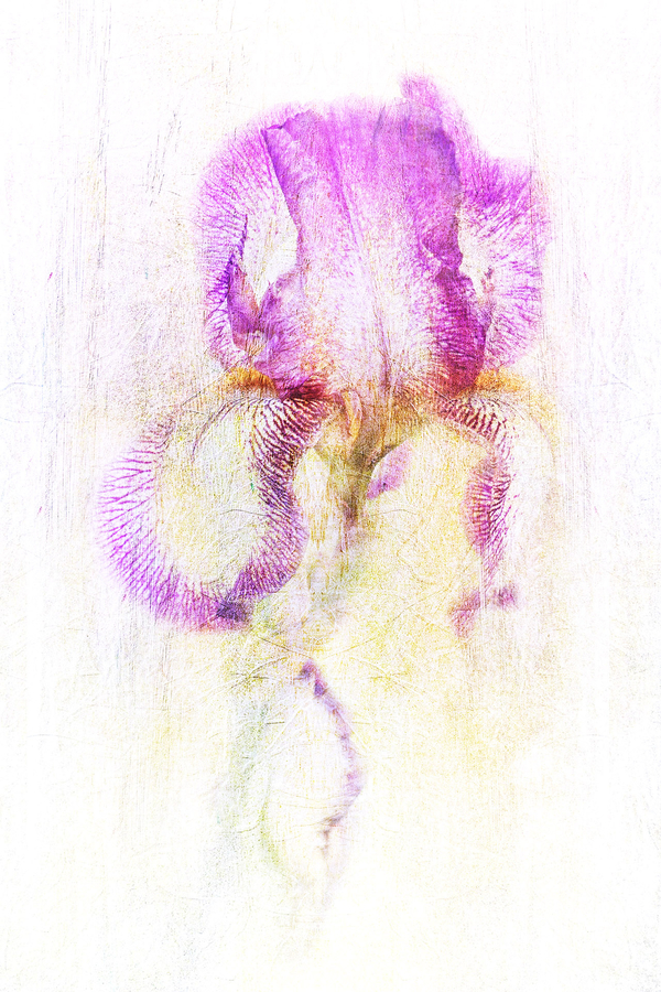 2-m-beaufils---foralies_53058736864_o