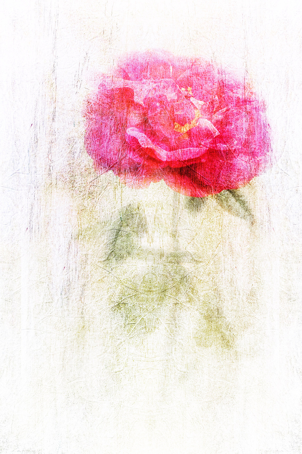 3-m-beaufils---foralies_53059033538_o