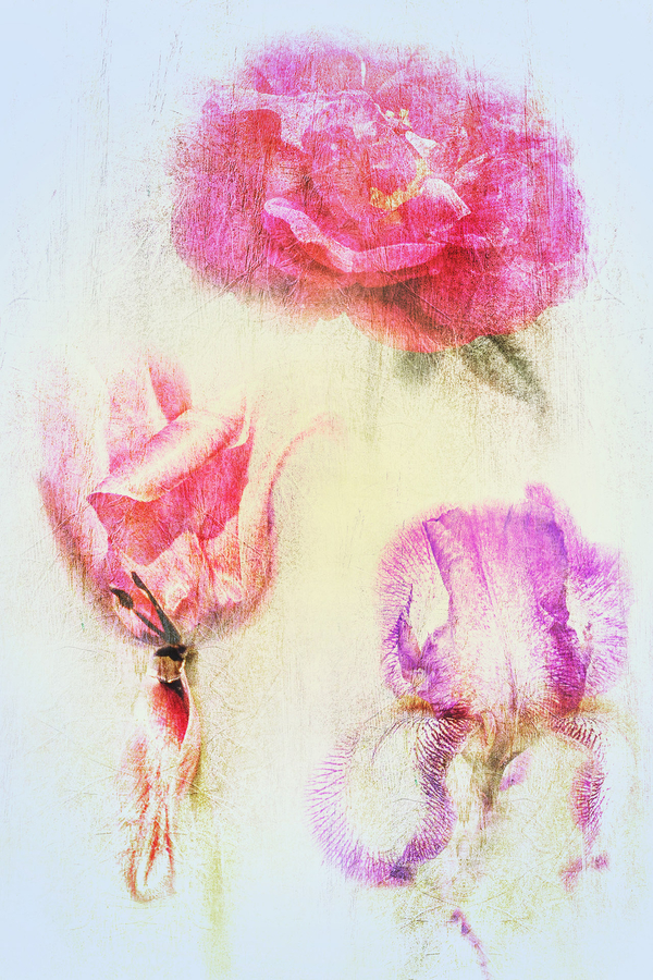 4-m-beaufils---foralies-b_53058553356_o