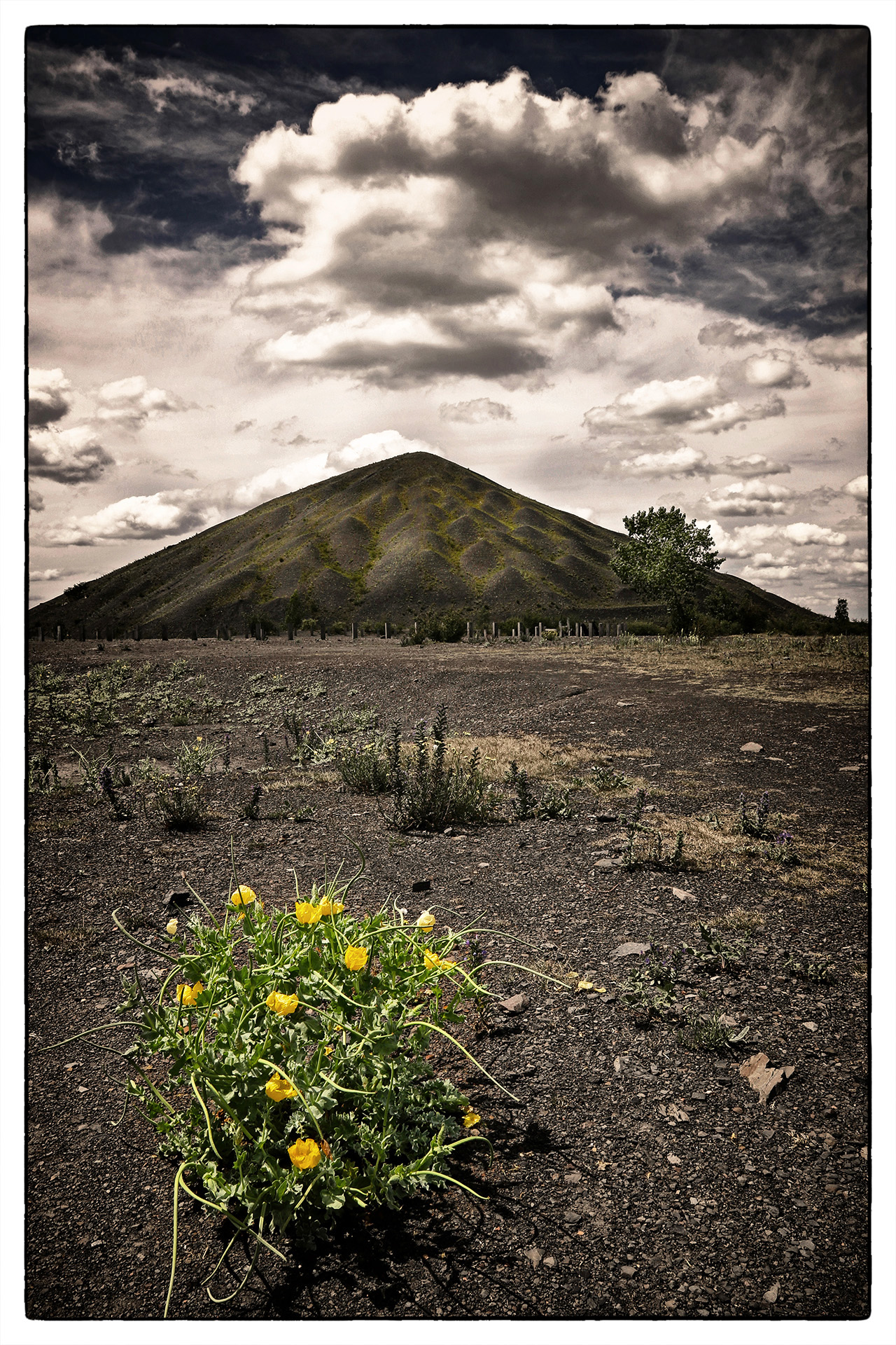 001-terril-du-nord_53067772715_o