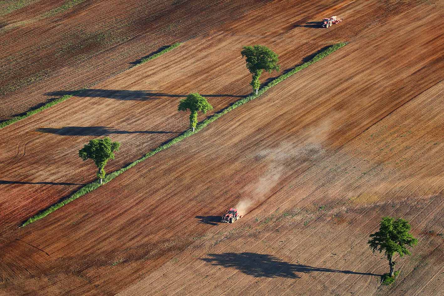 01-dsert-agricole-ulm_53067674494_o