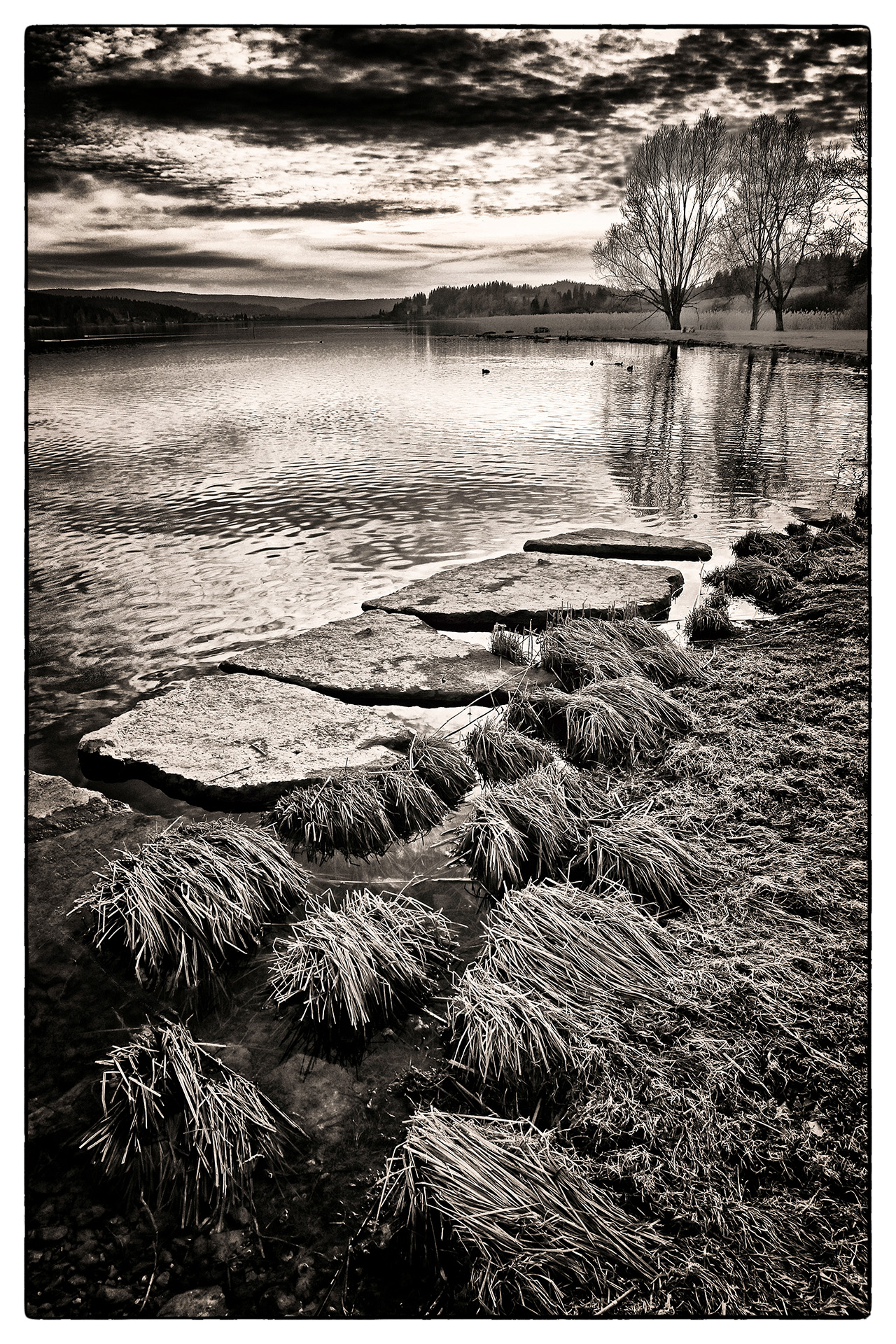 002-pas--pas_53067880618_o