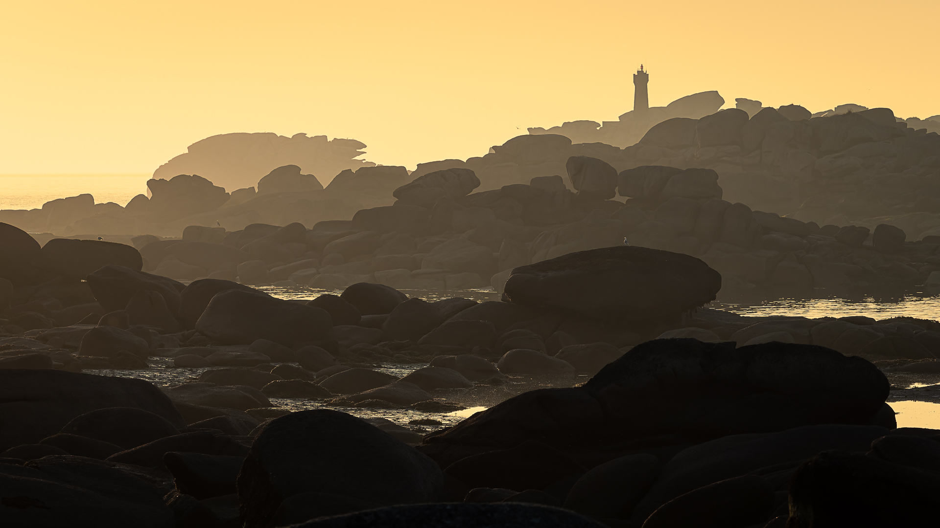 06082018-_8060937-orf_dxo_deepprime-3_53067481241_o