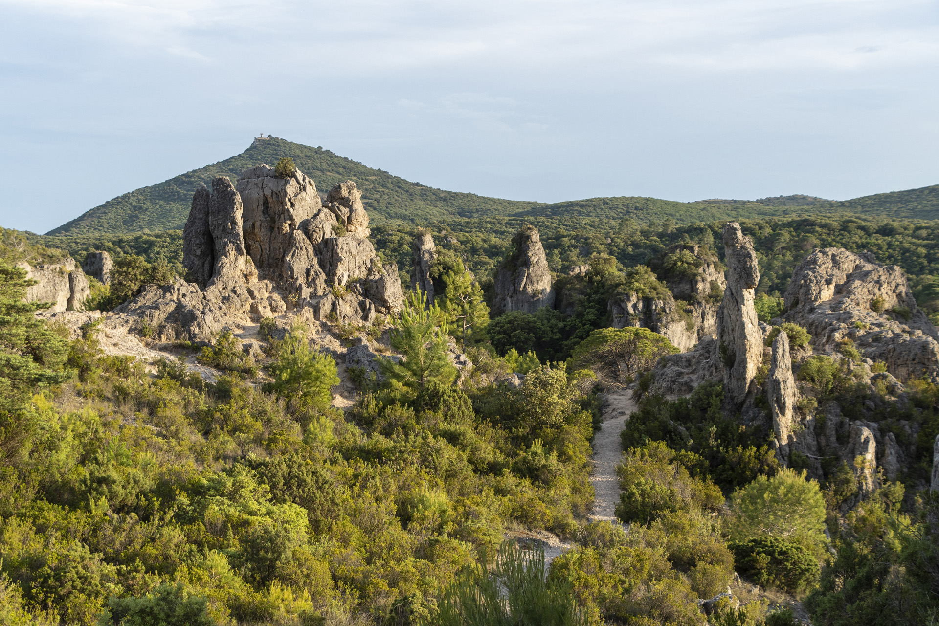 dsc_0981-copie_53067368216_o