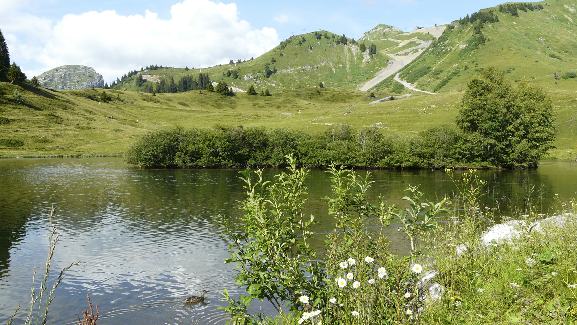joux-plane_53067391676_o