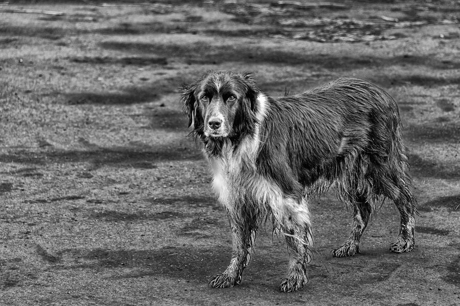 _DSC0572-Modifier-Modifier