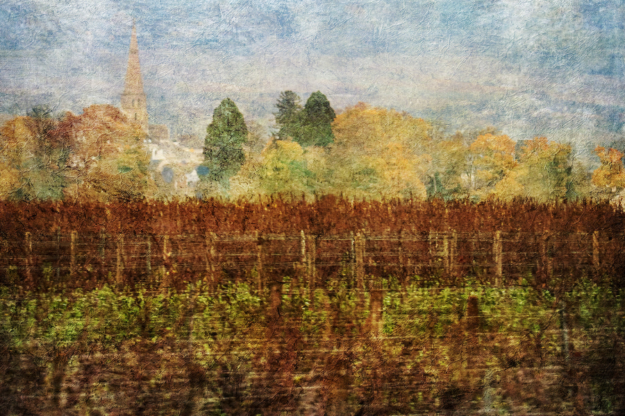 1 M. Beaufils - Sur la route des vignes   