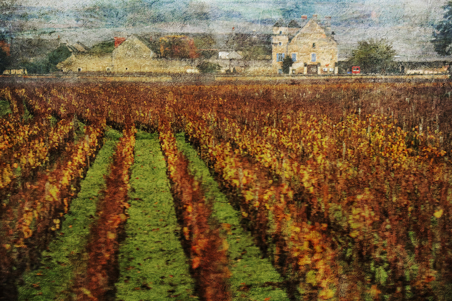2 M. Beaufils - Sur la route des vignes   
