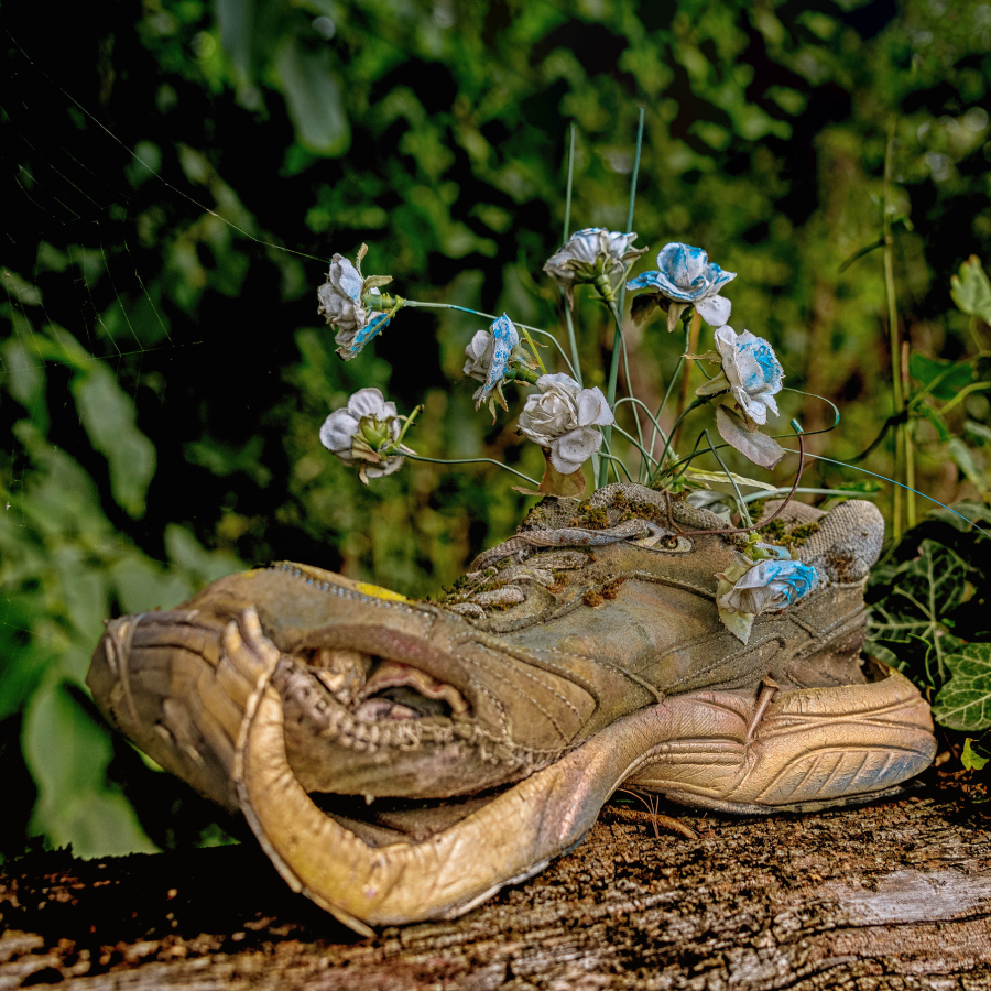 _DSC9580-Modifier-Modifier-Modifier