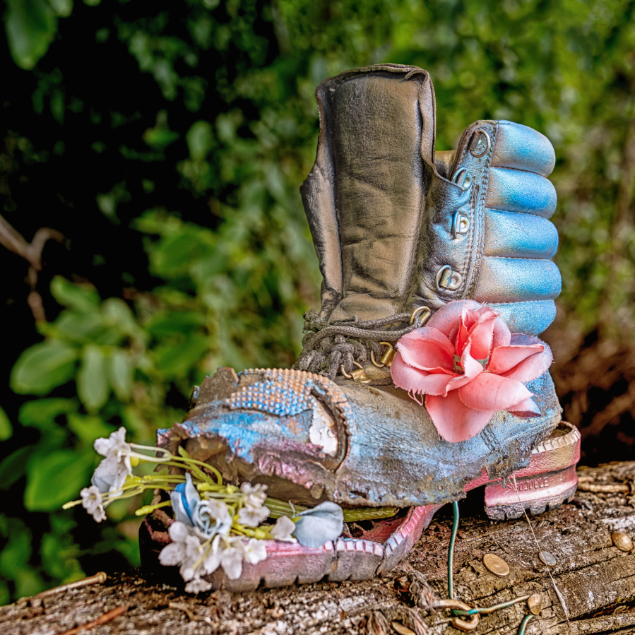 _DSC9582-Modifier-Modifier