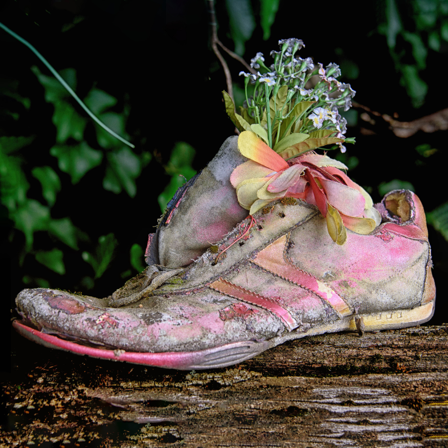 _DSC9585-Modifier-Modifier copie