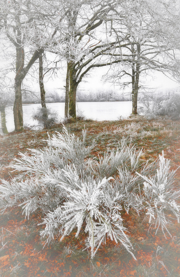 04 Ambiance Hivernale