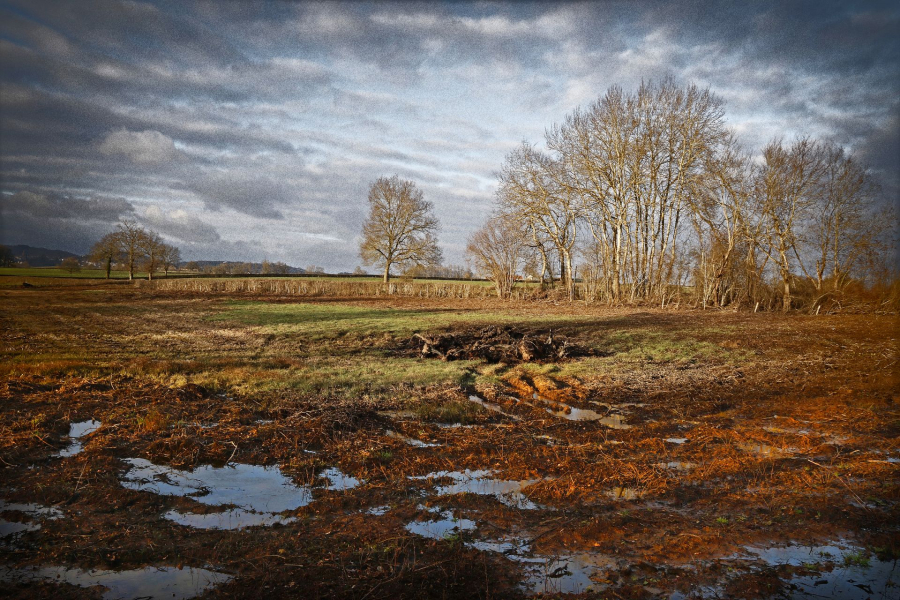 02-ambiance-pluvieuse_49153202297_o