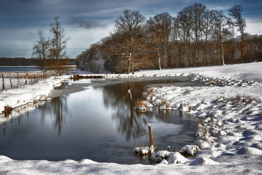 03-premiere-neige_49152498453_o