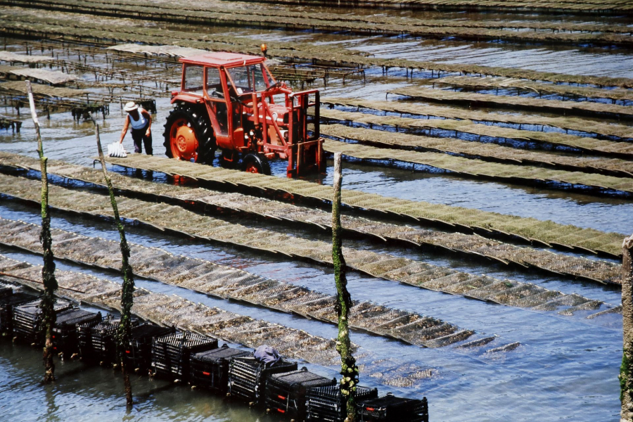 04-culture_49152497463_o