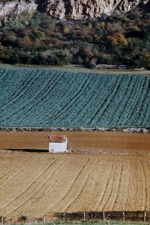 05-solitude_49153197862_o