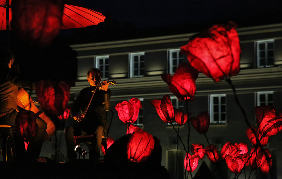 06-la-danse-des-coquelicots_49153696691_o