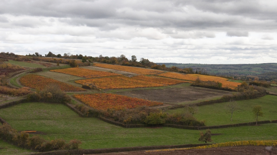 Couleurs d'automne_1