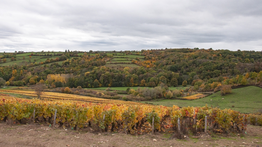 Couleurs d'automne_1