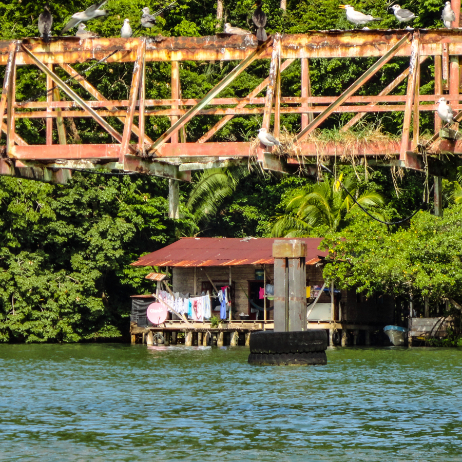 dsc03570_49153318462_o