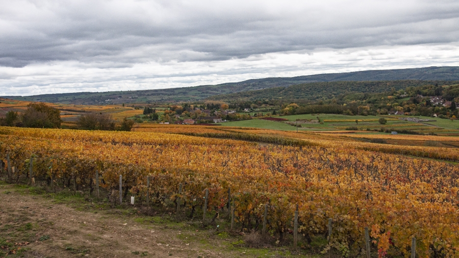 Couleurs d'automne_2