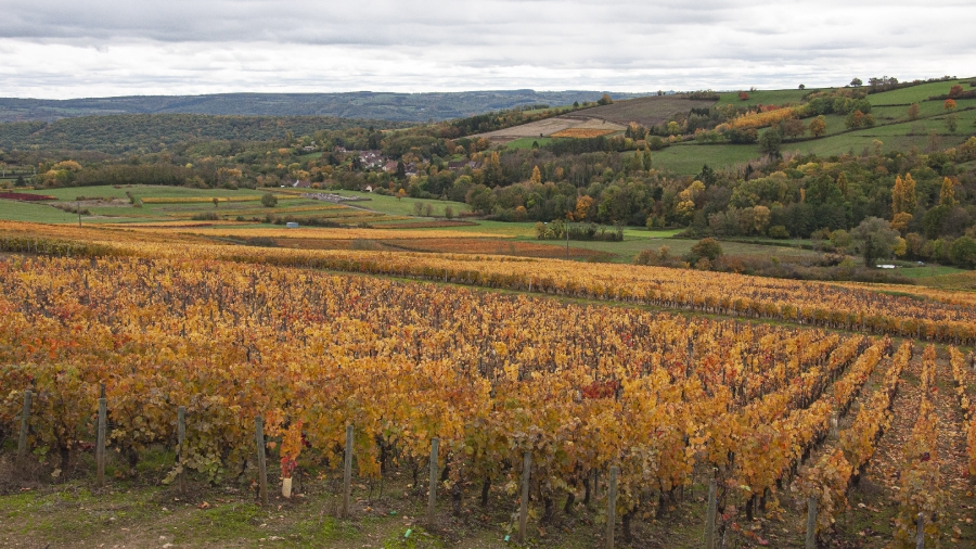 Couleurs d'automne_3