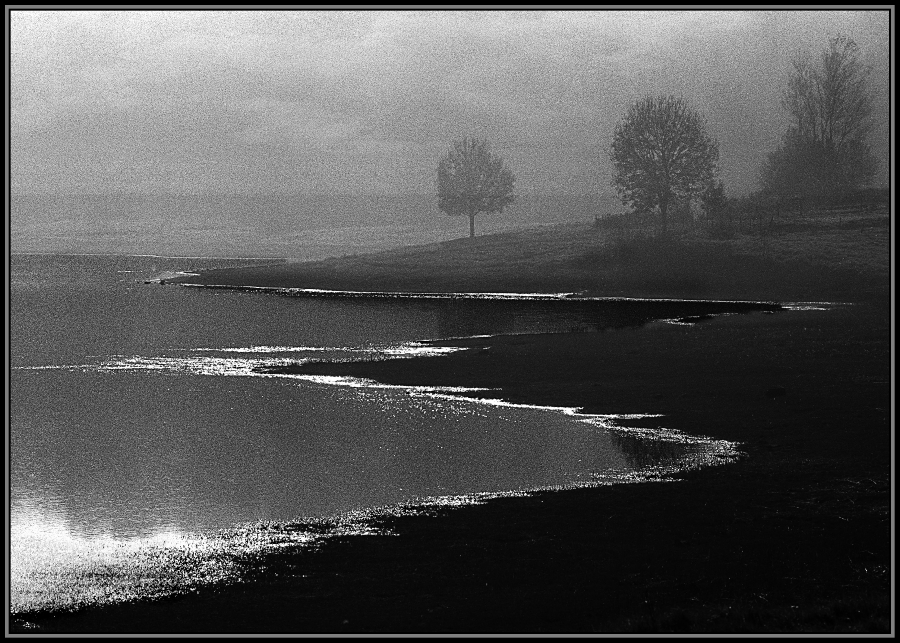 lac-st-sernin_49154138247_o