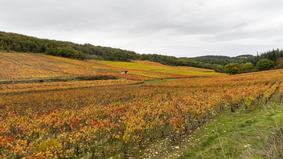 Couleurs d'automne_2